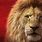 Mufasa New Lion King