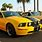 Mustang GT Yellow and Black