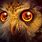 Mystical Owl Wallpaper