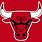 NBA Bulls Logo