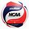 NCAA Volleyball Ball