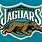 NFL Jaguars New Logo