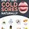 Natural Cold Sore Remedies