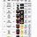Navy Enlisted Ranks and Insignia