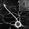 Neuron Microscope Image