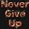 Never Give Up HD