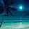 Night Beach Scene Paintings
