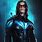 Nightwing Pictures