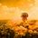 Nuclear Explosion Wallpaper 4K