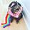 Nyan Cat Costume