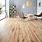 Oak Wood Floor