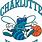 Old Charlotte Hornets