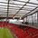 Old Trafford Stands