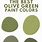 Olive Green Paint Colors