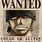 One Piece Wanted Poster New World