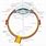 Optical Eye Diagram