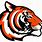 Orange Tiger Logo