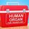 Organ Donor Box