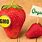 Organic GMO Food