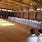 Oshima Shotokan