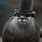 Otter with Top Hat