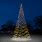 Outdoor Christmas Trees with Lights