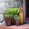 Outdoor Rustic Metal Planters