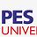 PES University Bangalore Logo