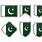 Pakistan Badge