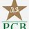 Pakistan Cricket Team Logo