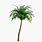 Palm Tree Alpha