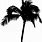 Palm Tree Silhouette Transparent