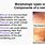 Papular vs Vesicular Rash