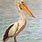 Pelican Pictures Art