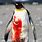 Penguin Blood
