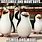 Penguins of Madagascar Smile and Wave Meme