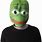 Pepe Frog Costume