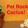 Pet Cactus