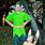 Peter Pan and Tinkerbell Costume Adult
