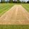 Photo of Cricket Pitch