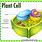 Photo of Plant Cell