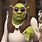 Picture of Shrek Meme