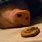Pig Eating Cookie