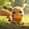 Pikachu Cute HD Wallpaper