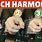 Pinch Harmonics