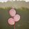 Pink Balloon Photography