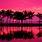Pink Beach Sunset 4K