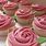 Pink Rose Cupcakes