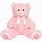 Pink Teddy Bear Plush