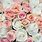 Pink and White Roses Background